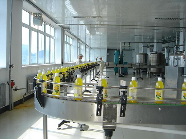 塑鋼鏈板輸送機(jī)